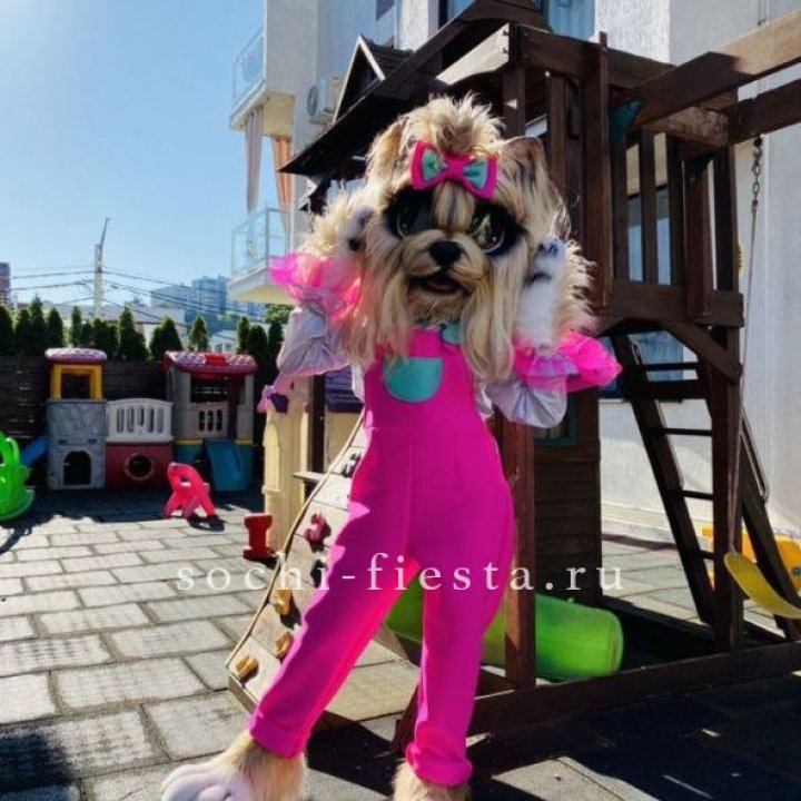Аниматор Гламурная Собака в Бийске