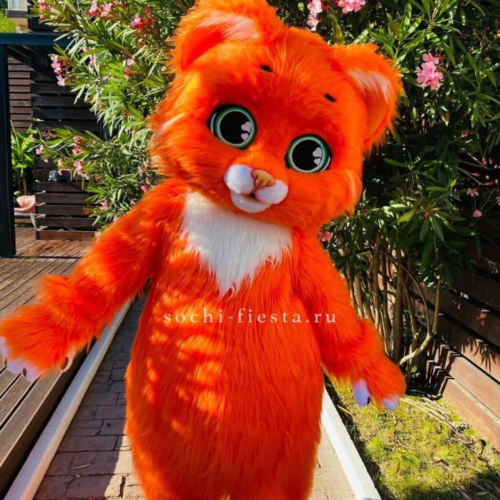 Аниматор Котик в Бийске