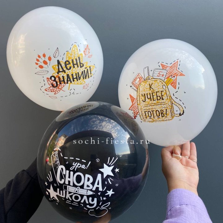 Воздушный шар к 1 сентября в Бийске