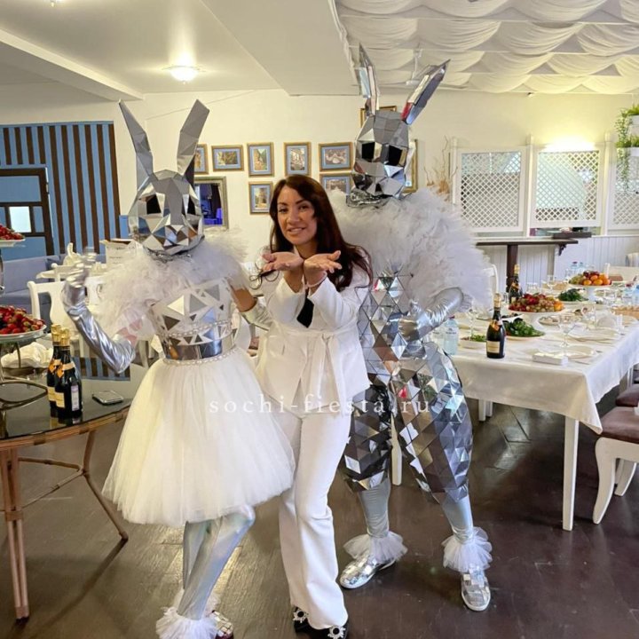 Аниматор Зеркальный заяц в Бийске