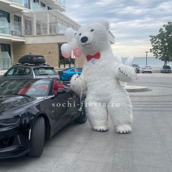 Аниматор Белый Медведь в Бийске