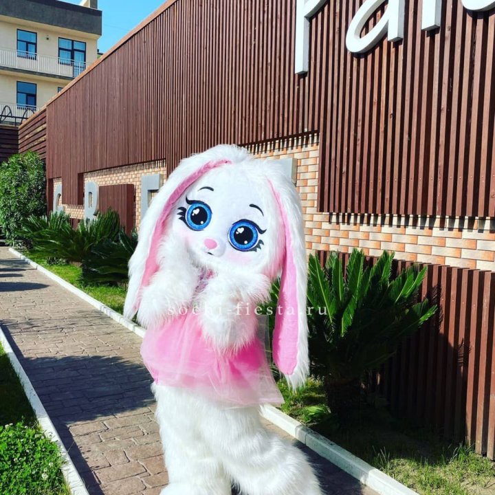 Аниматор Зайка в Бийске