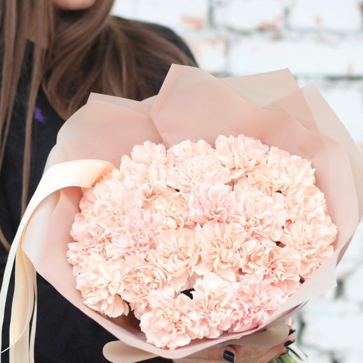 Диантусы №2 в Бийске