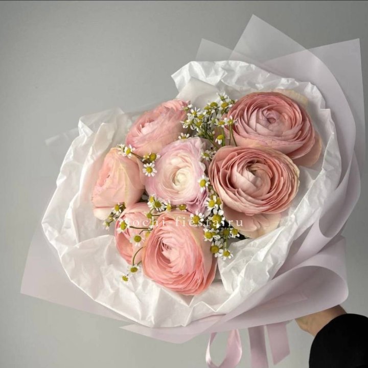 Ранункулюсы с ромашками в Бийске