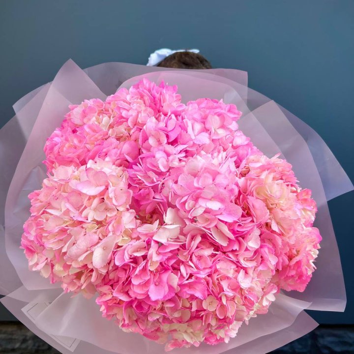 9 ярко розовых гортензий в Бийске