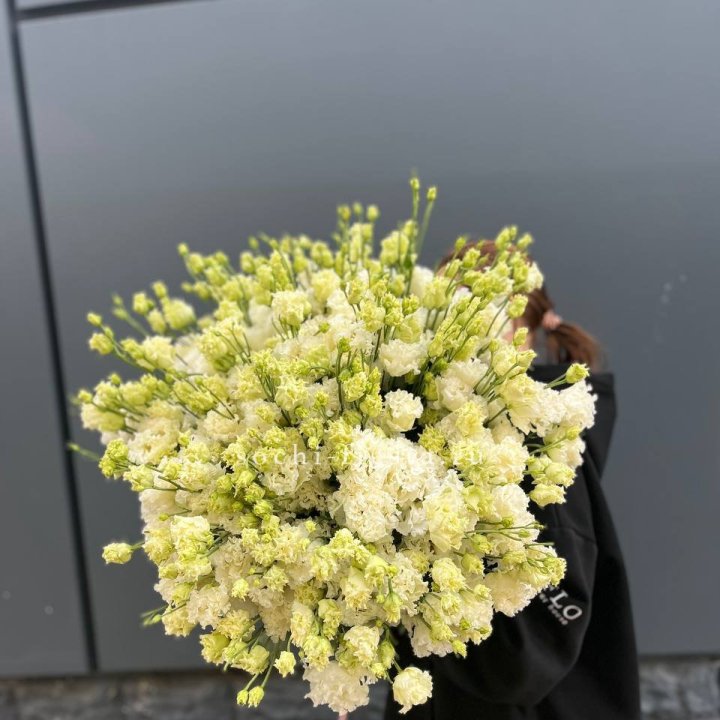 51 белая эустома в Бийске