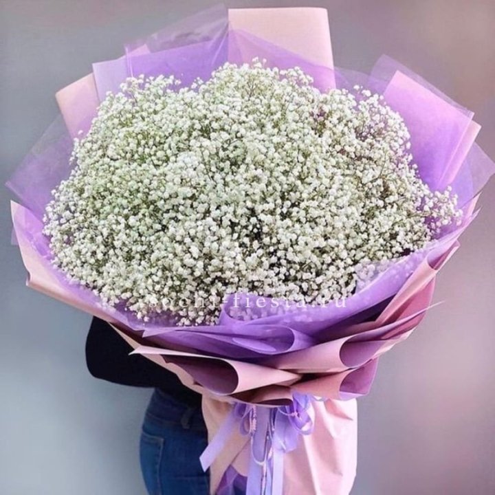 Облако белых гипсофил в Бийске