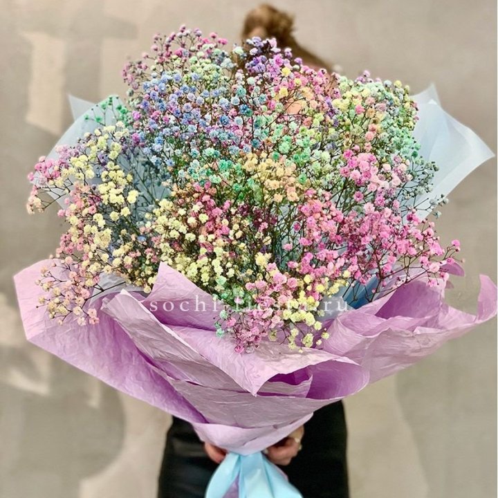 Радужные гипсофилы №2 в Бийске