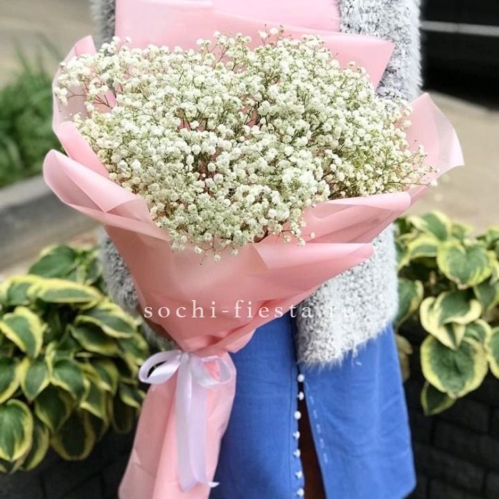 Белоснежные гипсофилы в Бийске