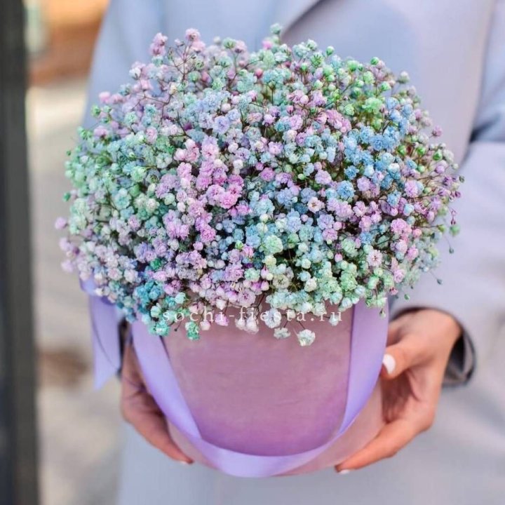 Гипсофилы в шляпной коробке "Кандилайт" в Бийске