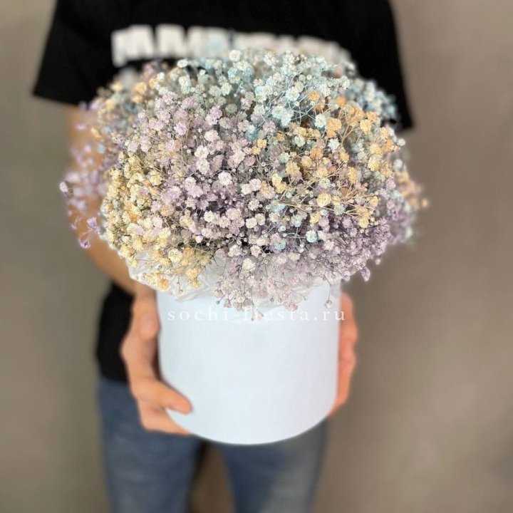 9 Радужных гипсофил в шляпной коробке в Бийске