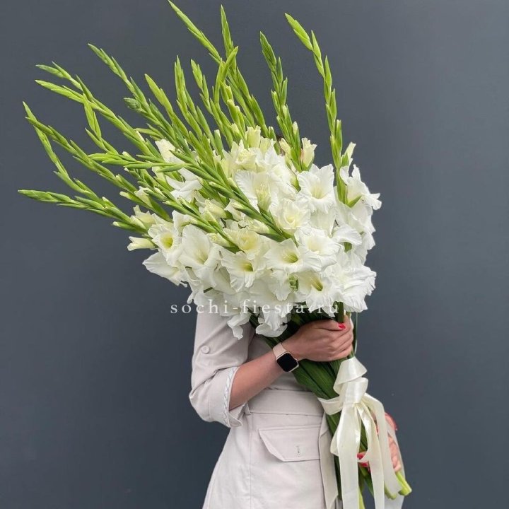 19 белых гладиолусов под ленту в Бийске