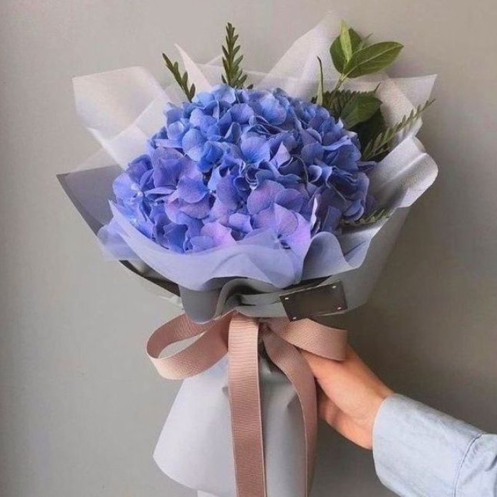 Гортензия голубая в Бийске