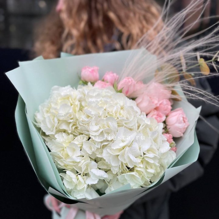 Гортензия "Жасмин" в Бийске