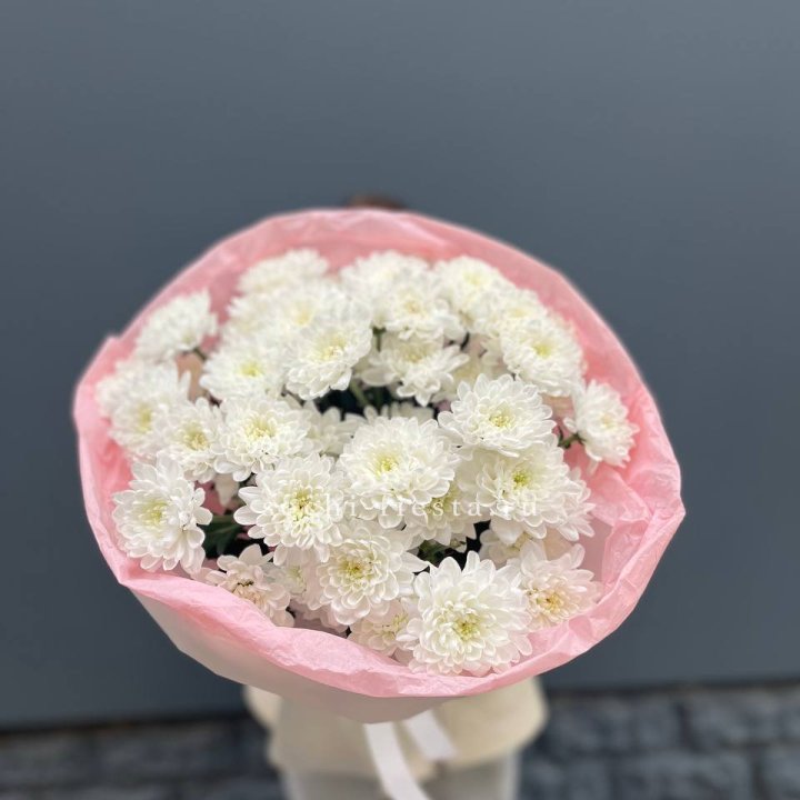  5 хризантем  в Бийске