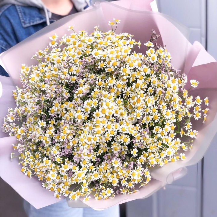 Букет ромашек №1 в Бийске