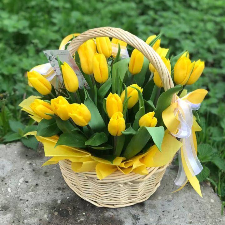 25 желтых тюльпанов в корзине в Бийске