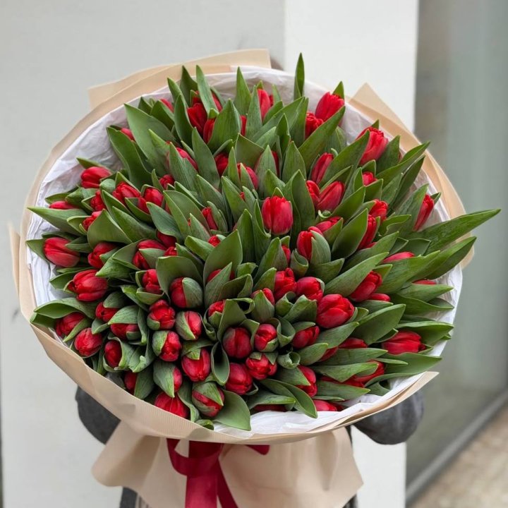 101 красный тюльпан в Бийске