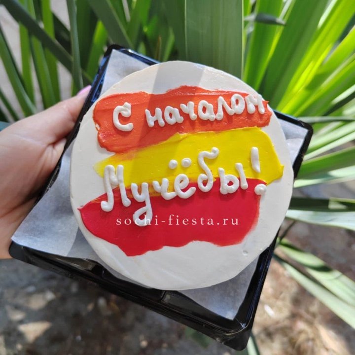 Бенто-торт "С началом учёбы"" в Бийске