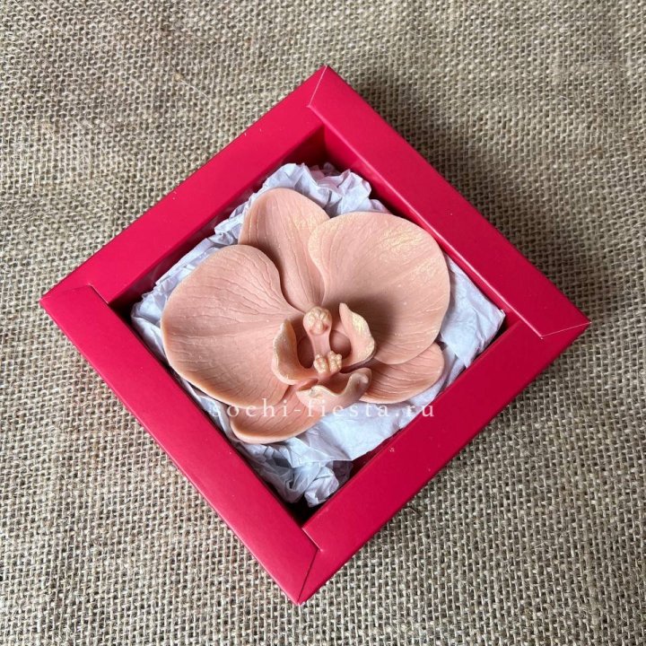 Бельгийский шоколад Орхидея в Бийске