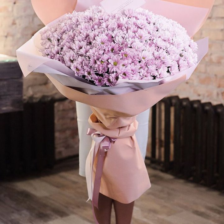 Облако хризантем №1 в Бийске