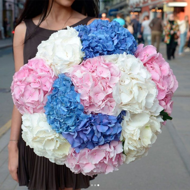 Букет гортензий "Инь-Янь" в Бийске