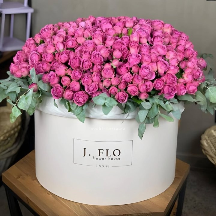 Цилиндр с Мисти Бабблс  в Бийске