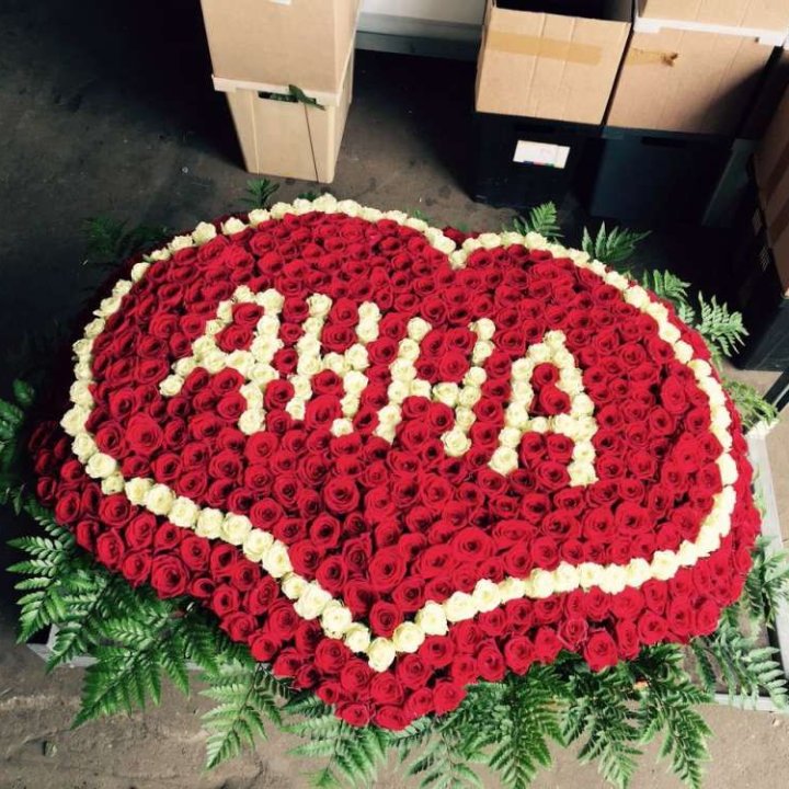 555 роз с именем в Бийске