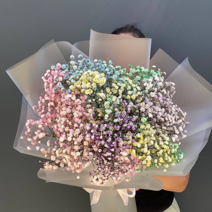 Радужные гипсофилы  в Бийске