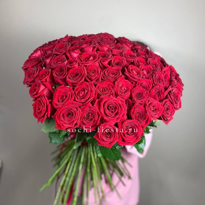 101  голландская роза  в Бийске