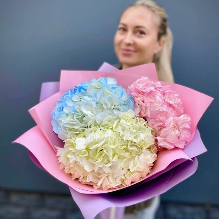 Букет гортензий "Тоника" в Бийске