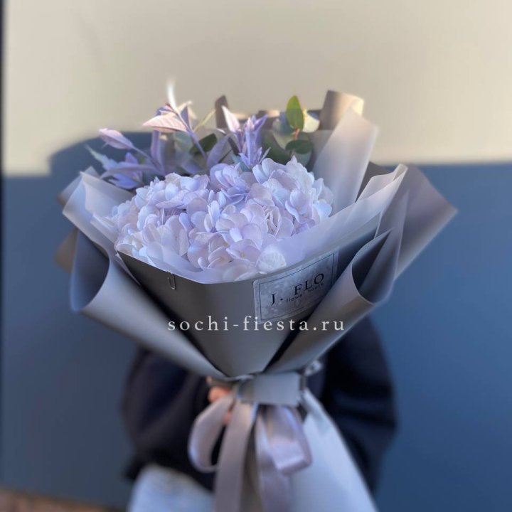 Гортензия "Виолета" в Бийске