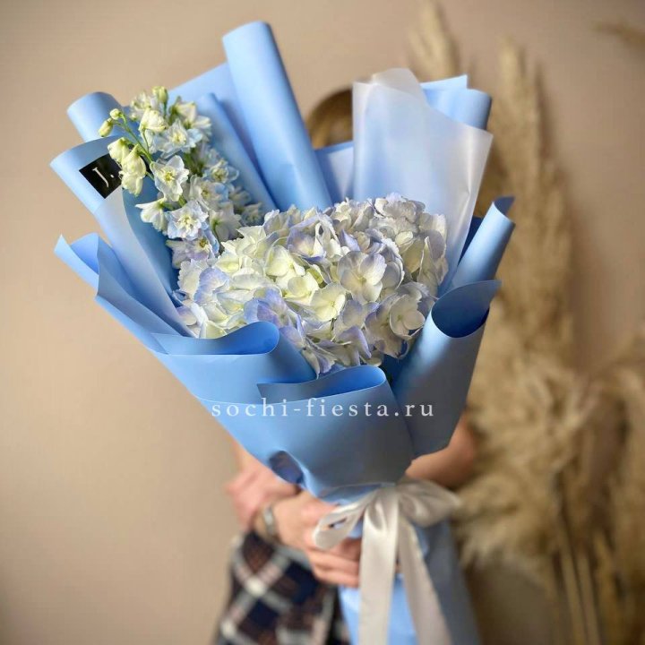 Гортензия "Блю скай" в Бийске