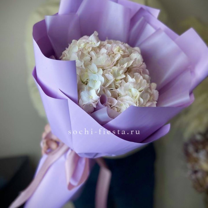 Гортензия розовая в Бийске