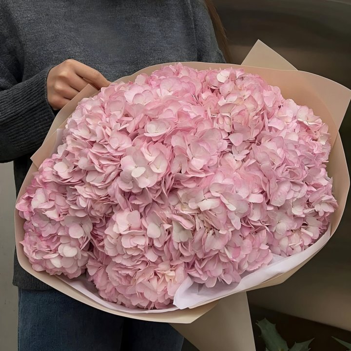 Гортензия  "РОЗЕ" в Бийске