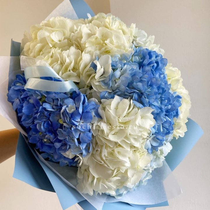 Букет гортензий "Голубая лаза" в Бийске