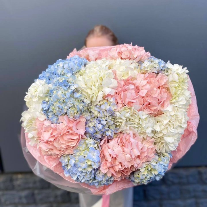 19 гортензий микс в Бийске