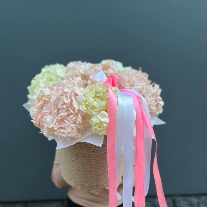 7 гортензий в кашпо в Бийске