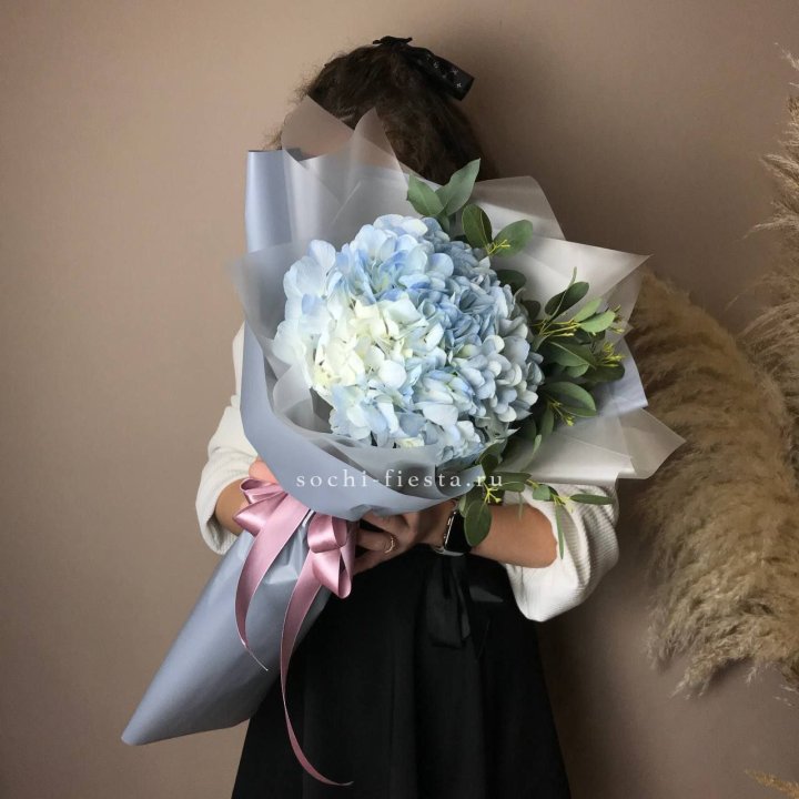 Гортензия Уно в Бийске