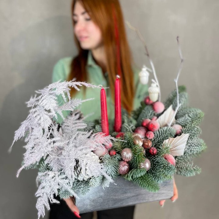 Бокс красный с нобилисом в Бийске