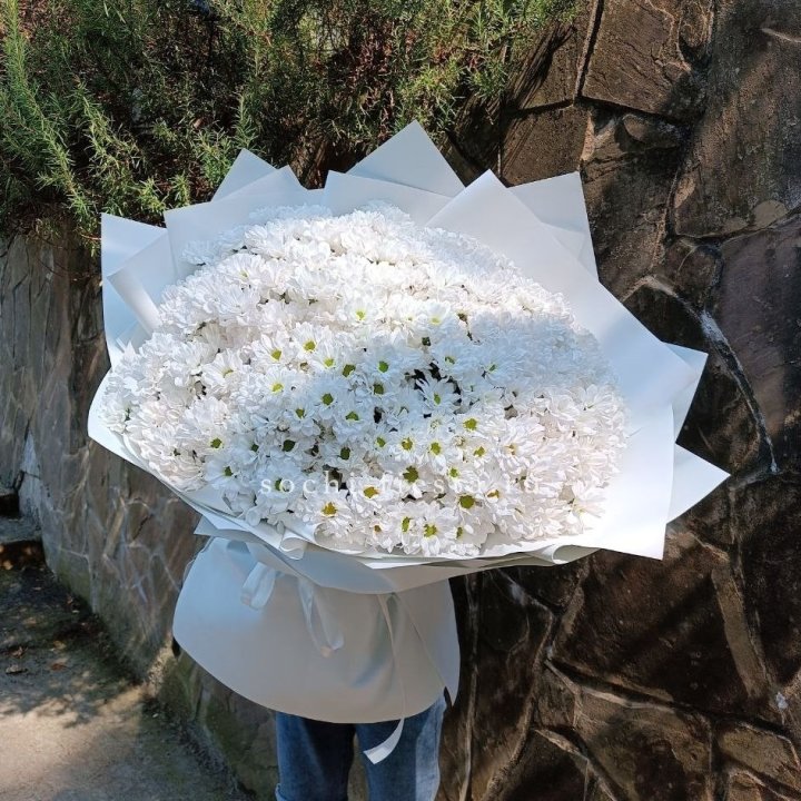 Облако хризантем №2 в Бийске