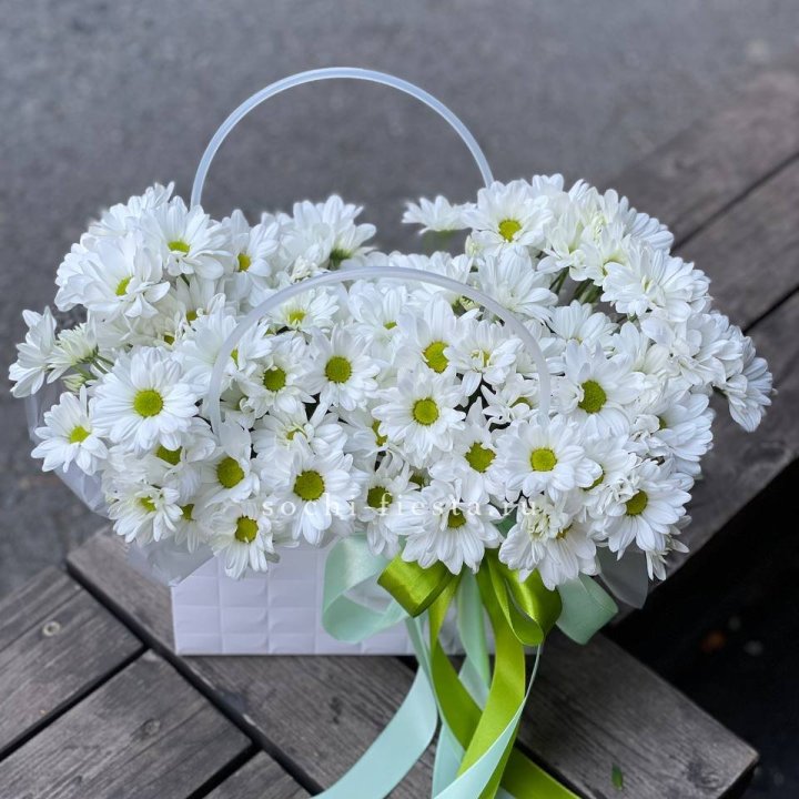 Сумка с хризантемами ромашками в Бийске