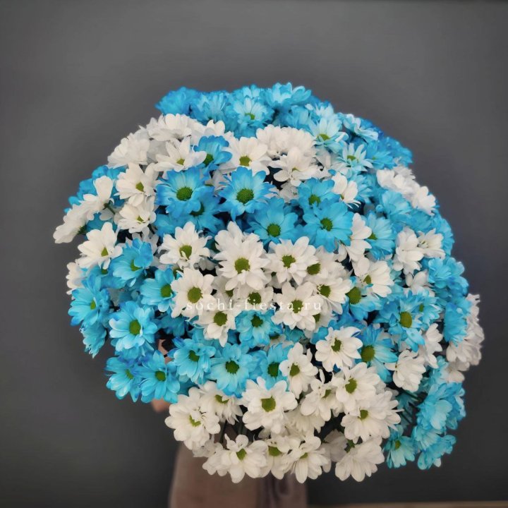  Букет хризантем микс в Бийске