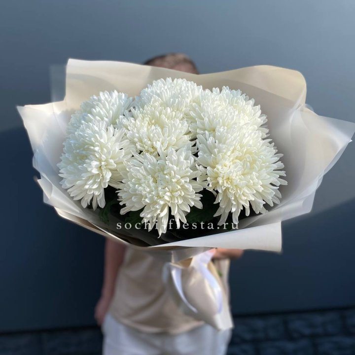 Профитроли в Бийске