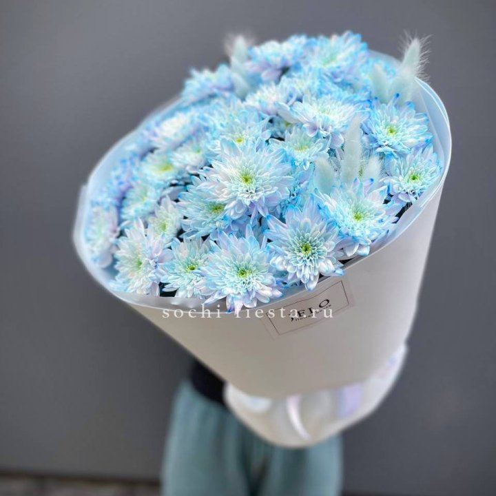  Букет нежно-голубых хризантем  в Бийске