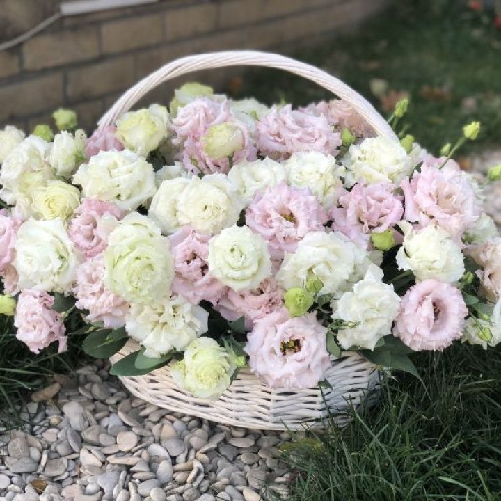 Корзина с эустомой в Бийске