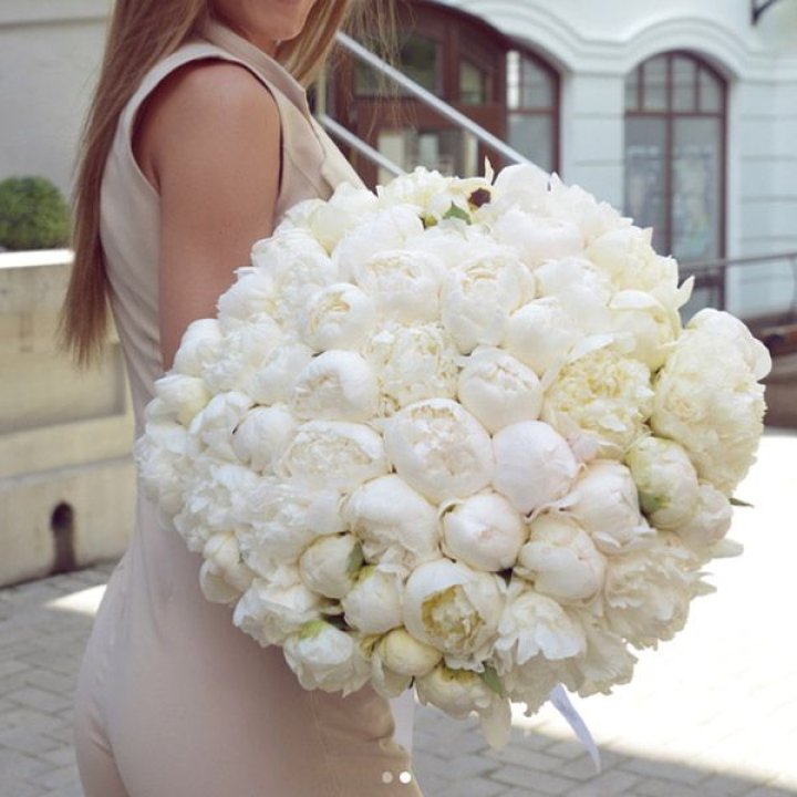 51 белый пион в Бийске