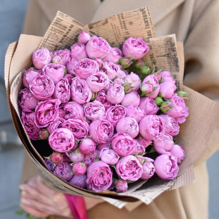 Роза Мисти Баблс в Бийске