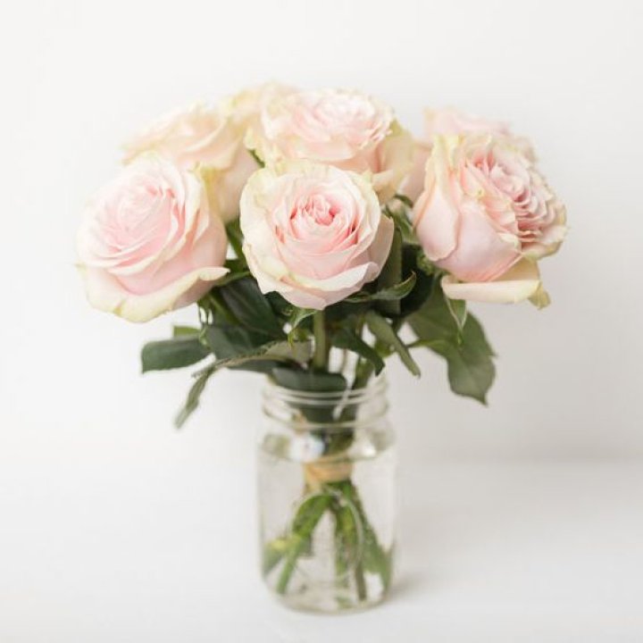 7 кремовых роз в Бийске