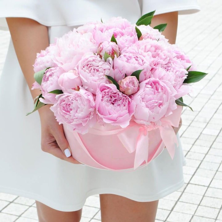 Пионы в шляпной коробке в Бийске